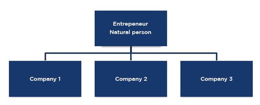 Real case of tax savings via holding structure 1 estructura tipo peine