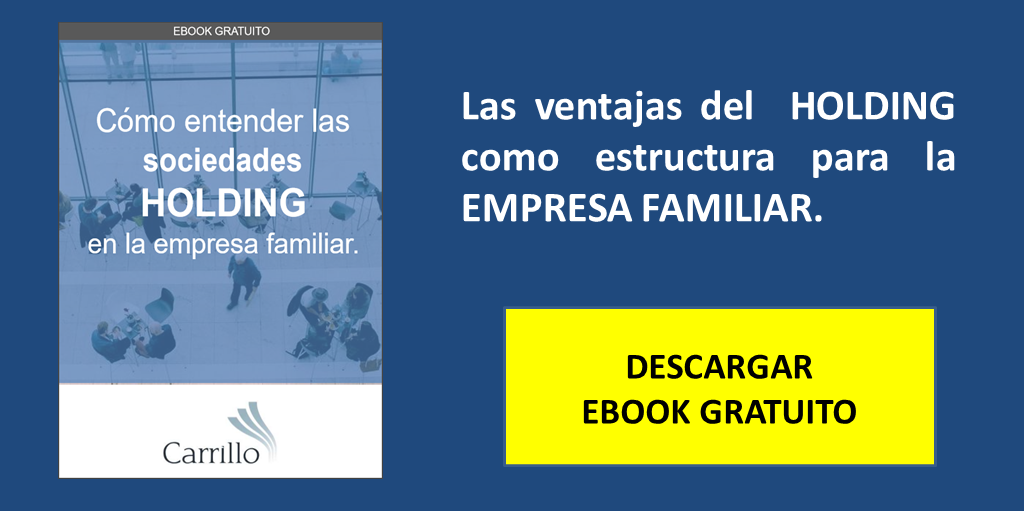 ebook estructura organizativa en la empresa familiar