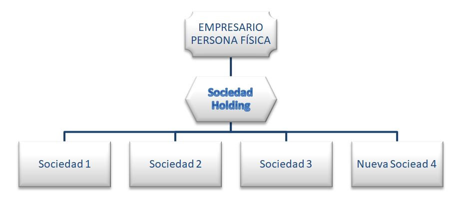 Caso real de ahorro fiscal con la creación de una estructura holding 2 Estructura holding
